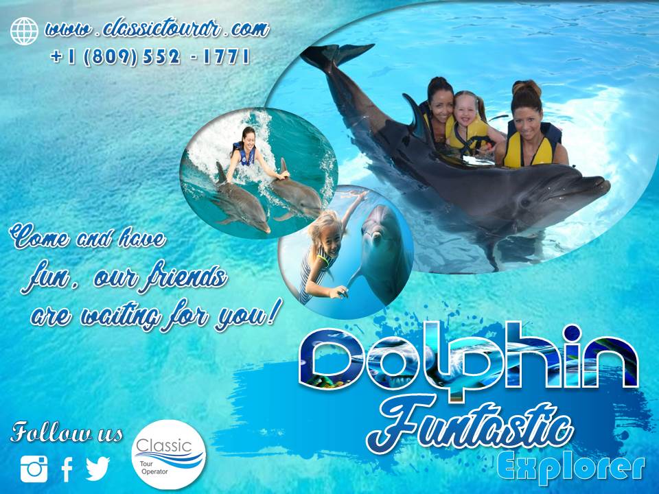 Classic Tour tweet media