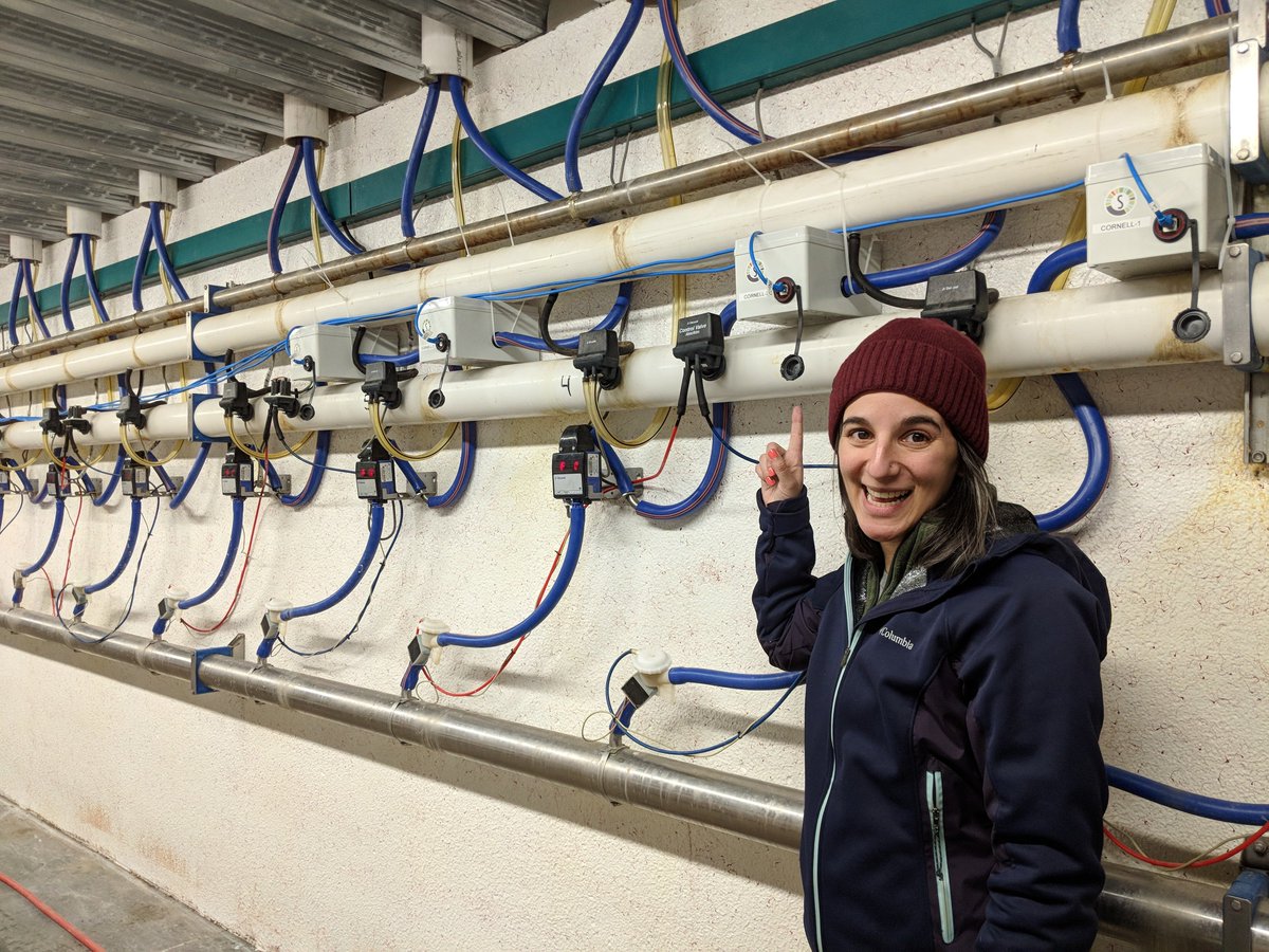 SomaDetect's tweet photo. We are so excited to announce our installation of 4 sensors at the Cornell Dairy Unit last week! This installation is part of a larger research project with @Cornell  #dairy #somapilot https://t.co/N6ubhRGpjG