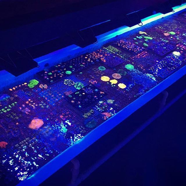 PolypLab's tweet photo. If you haven’t checked out @ther33frack your missing our for real. #polyplab #polyplabccc https://t.co/OhJAP1sBKQ https://t.co/Kb7teZiVjf