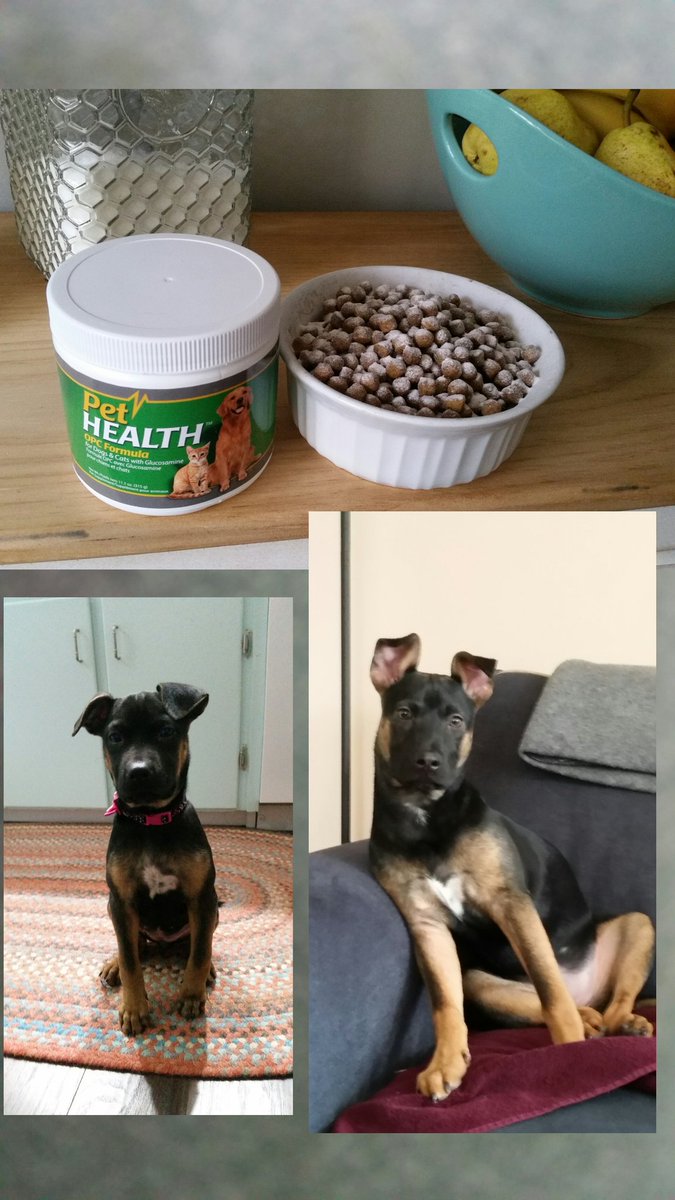 shopjrt tweet picture