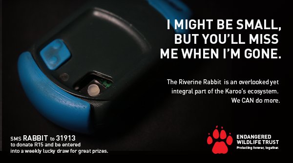 Endangered Wildlife Trust tweet media