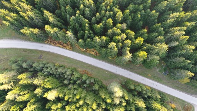 Lindsay Foster tweet media