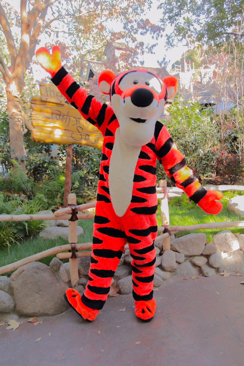 りもºoº アナハイム プーさんたちとのグリ ティガー イーヨー プーの順で一度並ぶと３人に会えます 25分くらい待ったかな ちゃんと頼んで撮らせてもらったけどさすが目線ズレズレ笑 Cdl カリフォルニアディズニーランド アナハイム