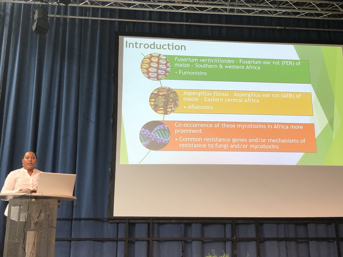 Melvin_Bolton's tweet photo. Great talk by @LinzjRose on the real-world importance of mycotoxin research for human and animal health #EFS14 https://t.co/GN3TQQiNHe