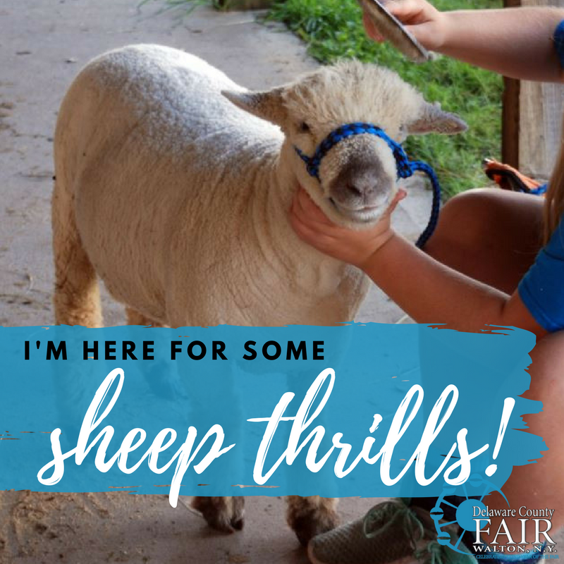 Delaware County Fair tweet media