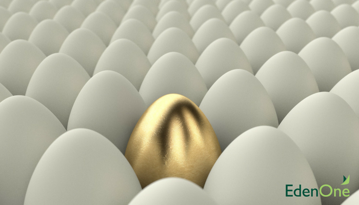 EdenOne's tweet photo. Our #SAPSupport model allows you to use your Eden Days in a number of ways, that's why we stand out from the competition https://t.co/WSgH1nvMxQ https://t.co/KXVElcTB3e