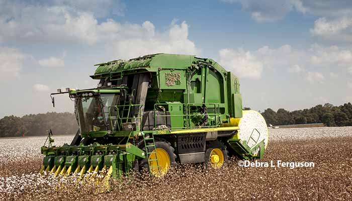 RoseCottonRepor's tweet photo. Thompson On Cotton: Fundamentals Remain Strong Even Without Drought Chances https://t.co/QDRkftk3Rd https://t.co/cR7Bnp2DTy