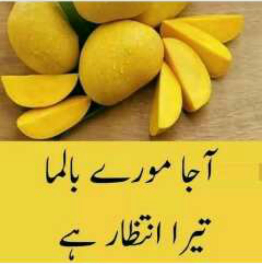 Amna_khattak_08's tweet photo. کبھی کبھی جو آم ہوتا ہے وہ بہت خاس ہوتا ہے 😂
#cantwaitforyou #mangolover ❤ https://t.co/nJdTMLzUdJ