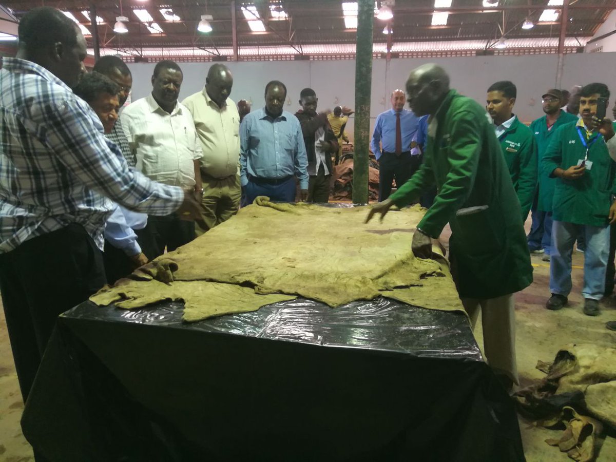 Gov_Ottichilo's tweet photo. Joined by @GovWOparanya @Wetangulam @MusaliaMudavadi at @AlpharamaLtd in Athi River, the largest hides &amp; skins processing plant in Africa. Potential investors in western Kenya to exploit &amp; build up the leather economy in our counties. They'll be visiting Vihiga County next week https://t.co/KOkrplsc4q