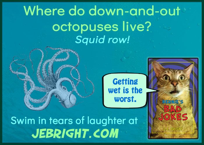 JEBrightwriter's tweet image. Giggle together with your whole family at Bernie's Bad Jokes! Buy the book at amzn.to/2HQI9Gg now, or check out free samples at jebright.com.

#kidlit #mglit #childrensbooks #jokebook #jokes #memes #octopus #cats #badjokes #dadjokes #moms #dads #grandma #kids