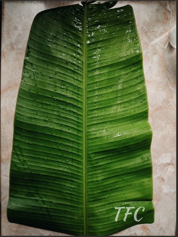 The Filter Coffee tweet media