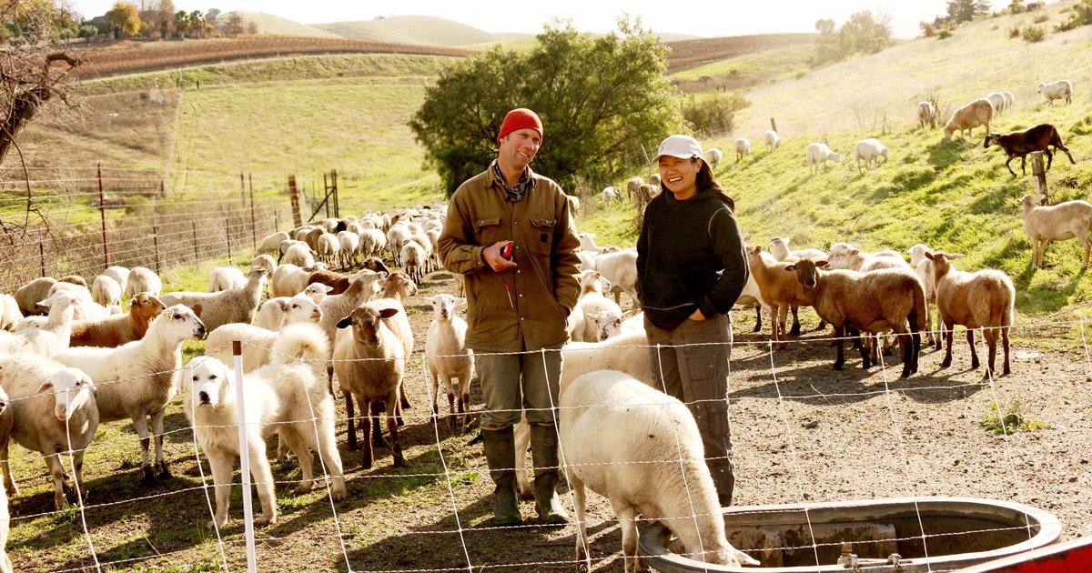 Slow Money tweet media