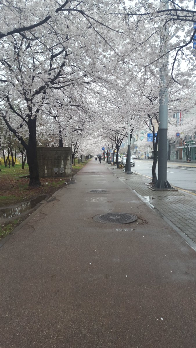 Bb66kKim's tweet photo. https://t.co/5u726DLuwE
