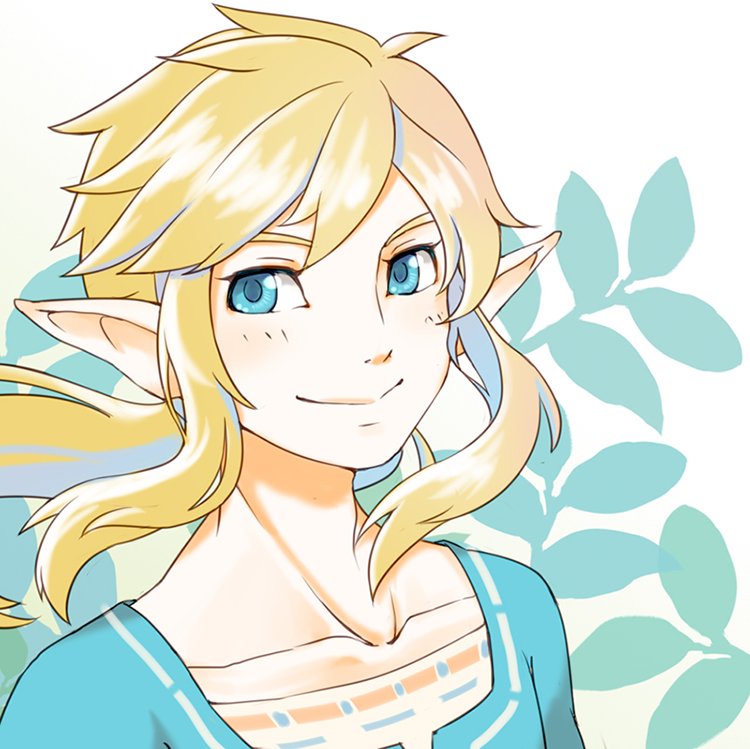 Link icon-The legend of Zelda breath of the wild