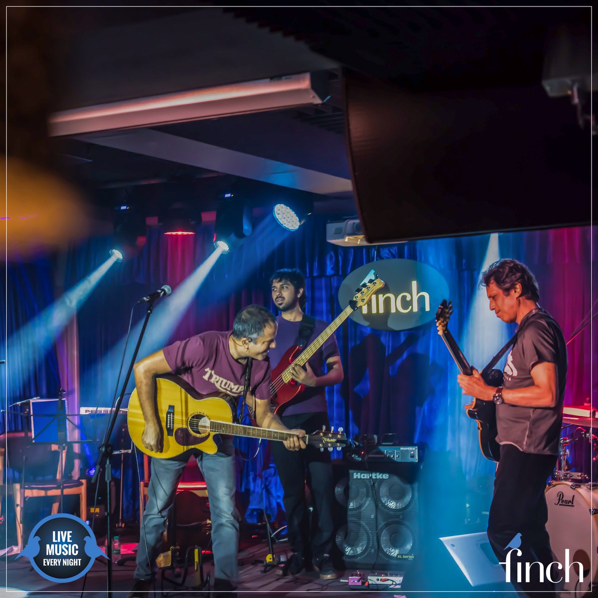 The Finch tweet media