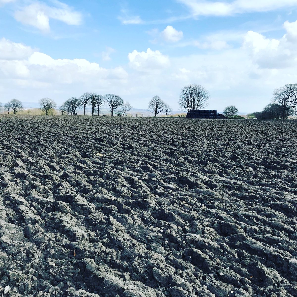 Agronomysilvers's tweet photo. Land finally getting prepared to get some Spring crops into the ground @ragtseedsuk @AgriiWest #lancashire #Planet #ploughing #3rdwettestwinteronrecord #finallyadryday https://t.co/s9r16K2gzr