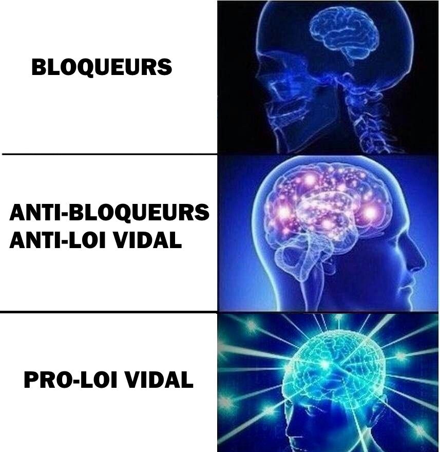 Winston-S tweet media