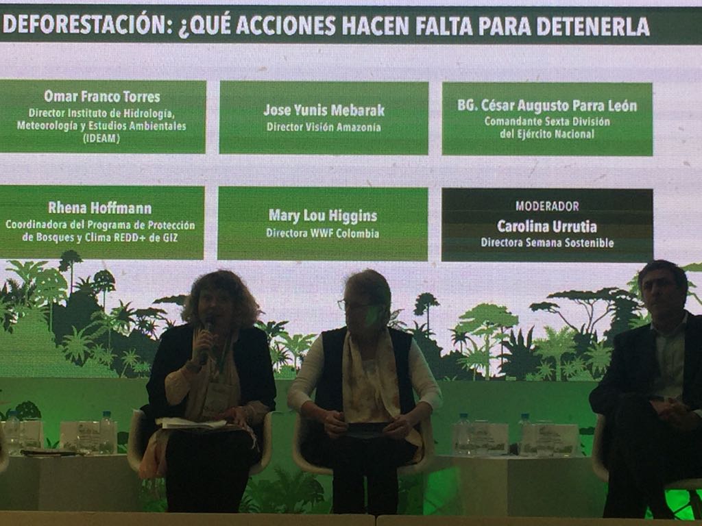 WWF Colombia tweet media