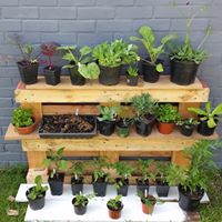 Its Keynsham farmers market this Saturday and we have all kinds of tastiness for you from @TaylorsBakery1 <a href="/BathSoftCheese/">Bath Soft Cheese</a> <a href="/Lovett_pies/">Lovett Pies</a> <a href="/stevethefishman/">Steve Harvey</a> <a href="/Fusselsrapeseed/">Fussels Fine Foods</a> <a href="/moistbristol/">Moist</a> <a href="/InstowKitchen/">Instow Kitchen</a> @NuttsForEggs @fourwindswine <a href="/OvenToYou/">Paul Davis</a> @clayfordfarm and more!