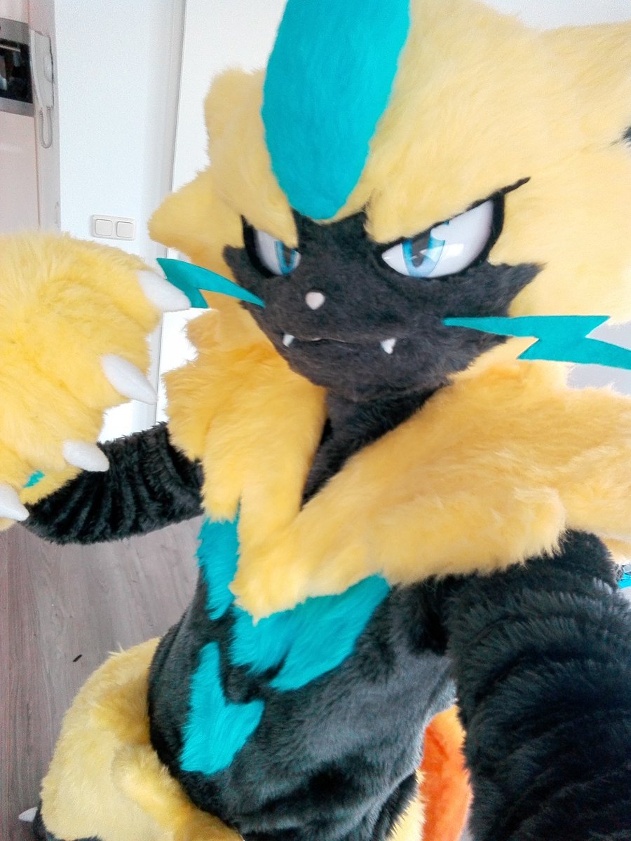 WillowCreativ's tweet photo. I wish i was as photogenic as Zeraora irl

#zeraora #pokemon #usum #pokemonmovie #PokemonCosplay #pokemonsuit #fursuit https://t.co/asXHokAV3f