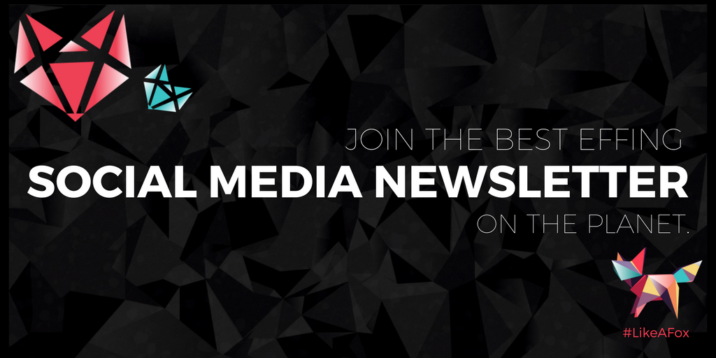 VulpineInteract's tweet photo. Join the best effing #SocialMedia newsletter on the planet, brought to you by the foxes at #TeamVulpine. Get it now: https://t.co/Jv2a8N2wpH https://t.co/xgLmRN0VFL