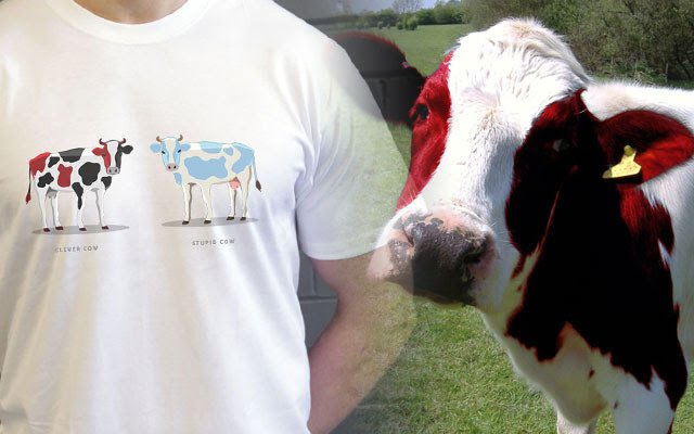 tshirtsunited's tweet photo. #CleverCow / #StupidCow - Our cow is better than yours. Know your cows. Available now: https://t.co/DFmkpXEUWo
#knowyourcows #mufc #manutd #redarmy #tshirt #tshirtdesign https://t.co/d7Iep5nWrR