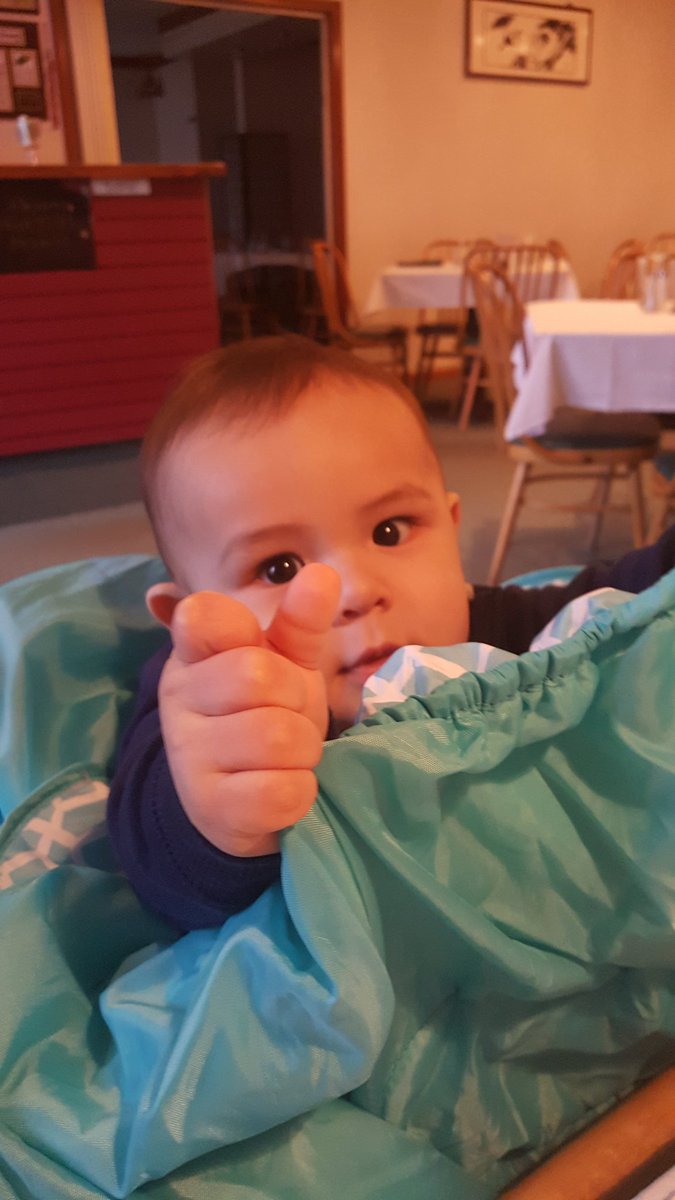 Slice213's tweet photo. Hello everyone! 10 months old https://t.co/FieMEtvGHm