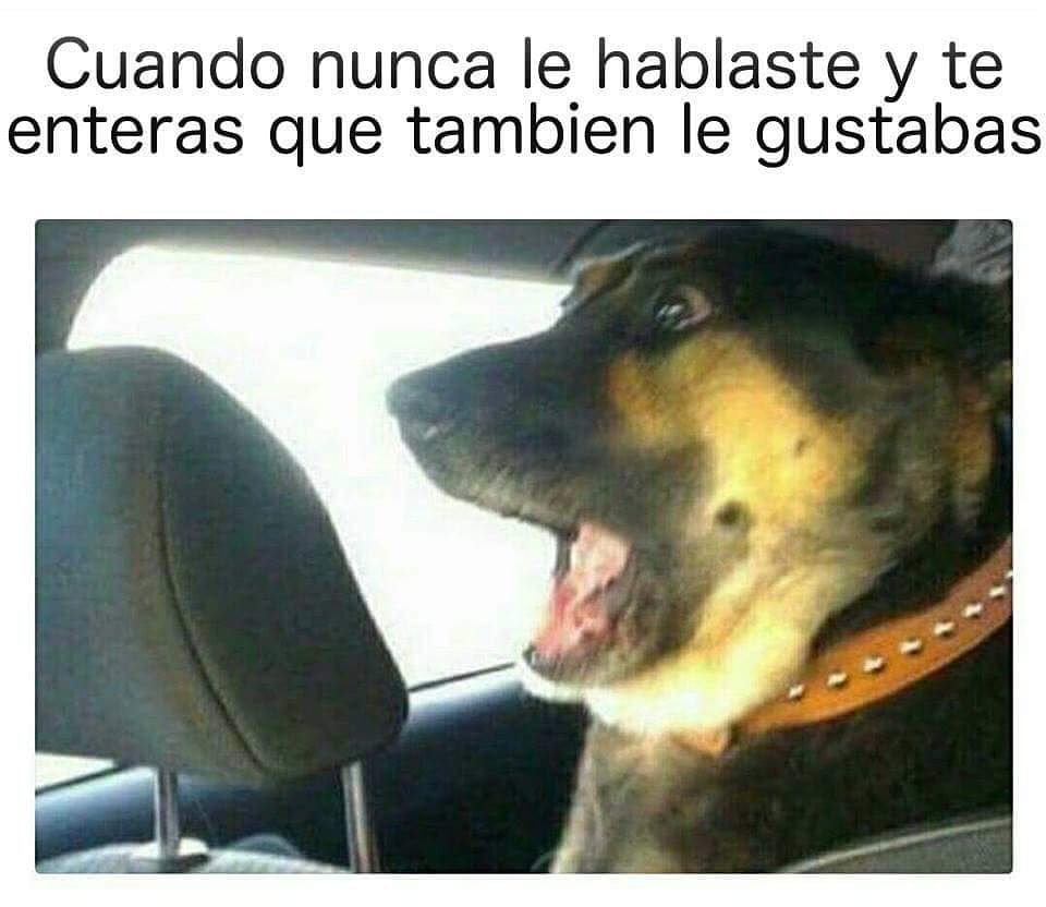 17Emms's tweet image. 