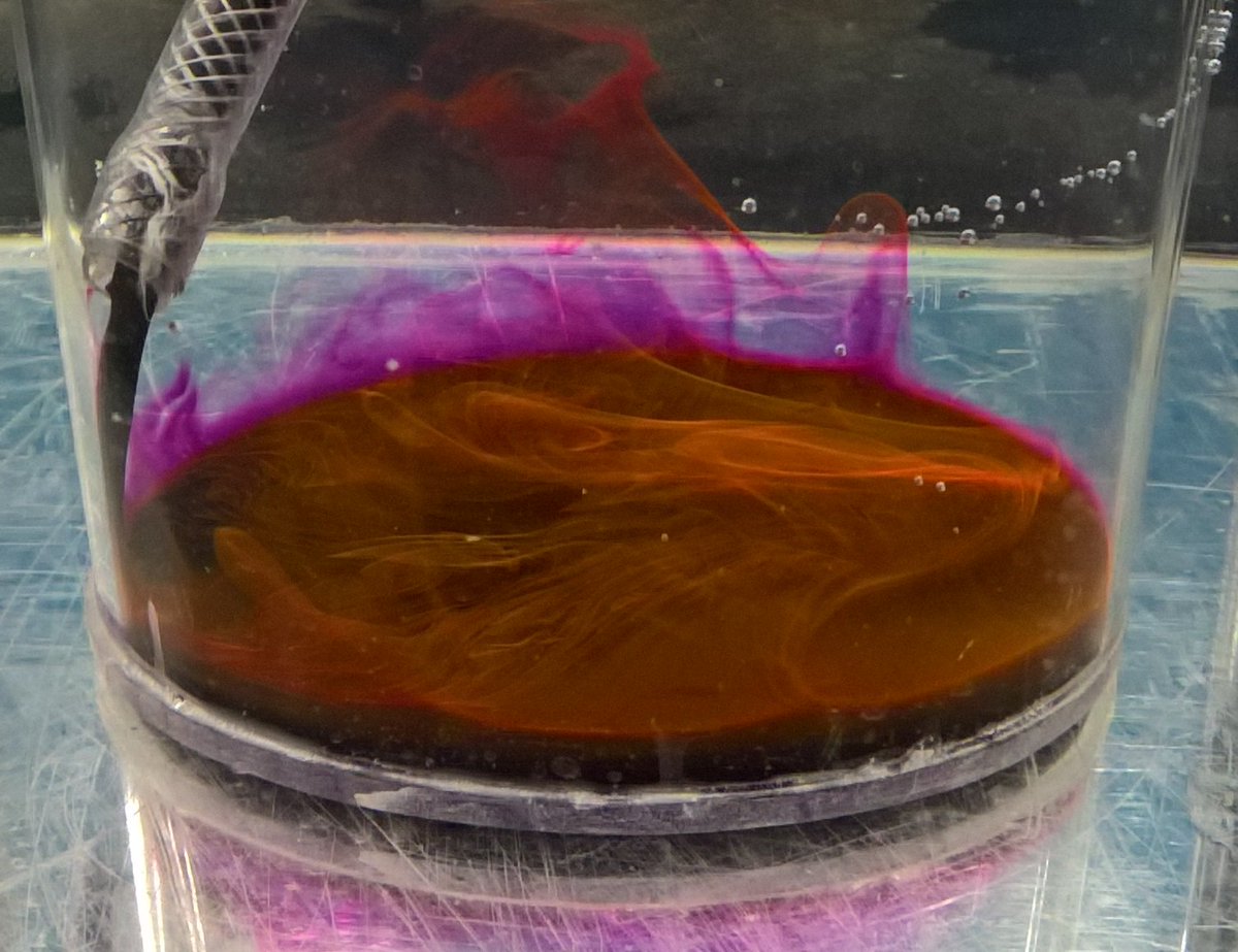 Fun day experimenting with Rhodamine &amp; convection currents in the <a href="/WEIR_Bath/">WEIR</a> wetlab. Almost ready for the next week's <a href="/aquacosm/">AQUACOSM</a> mesocosm experiments at @UmeaUniversity! 
Thanks to Denis Klimov <a href="/MBARI_News/">MBARI</a> for his helpful input
💦🏮🌌
#fluiddynamics #nebulae