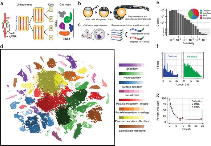 Nature Biotechnology tweet media