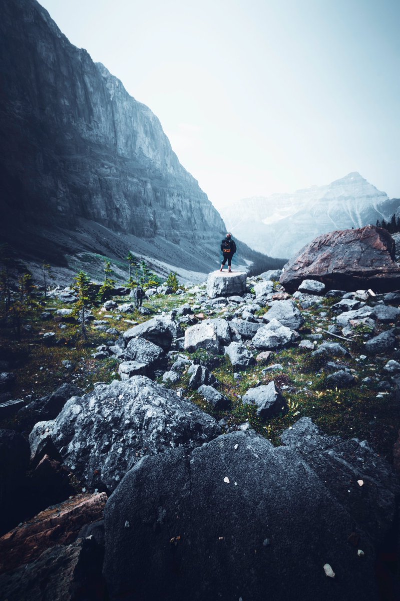 mk4d4m's tweet photo. In every walk with nature one receives more than he seeks. #beautifulbc #explorebc #explorecanada #kootenay #NationalParks #Rockies https://t.co/5feEYzIwKg