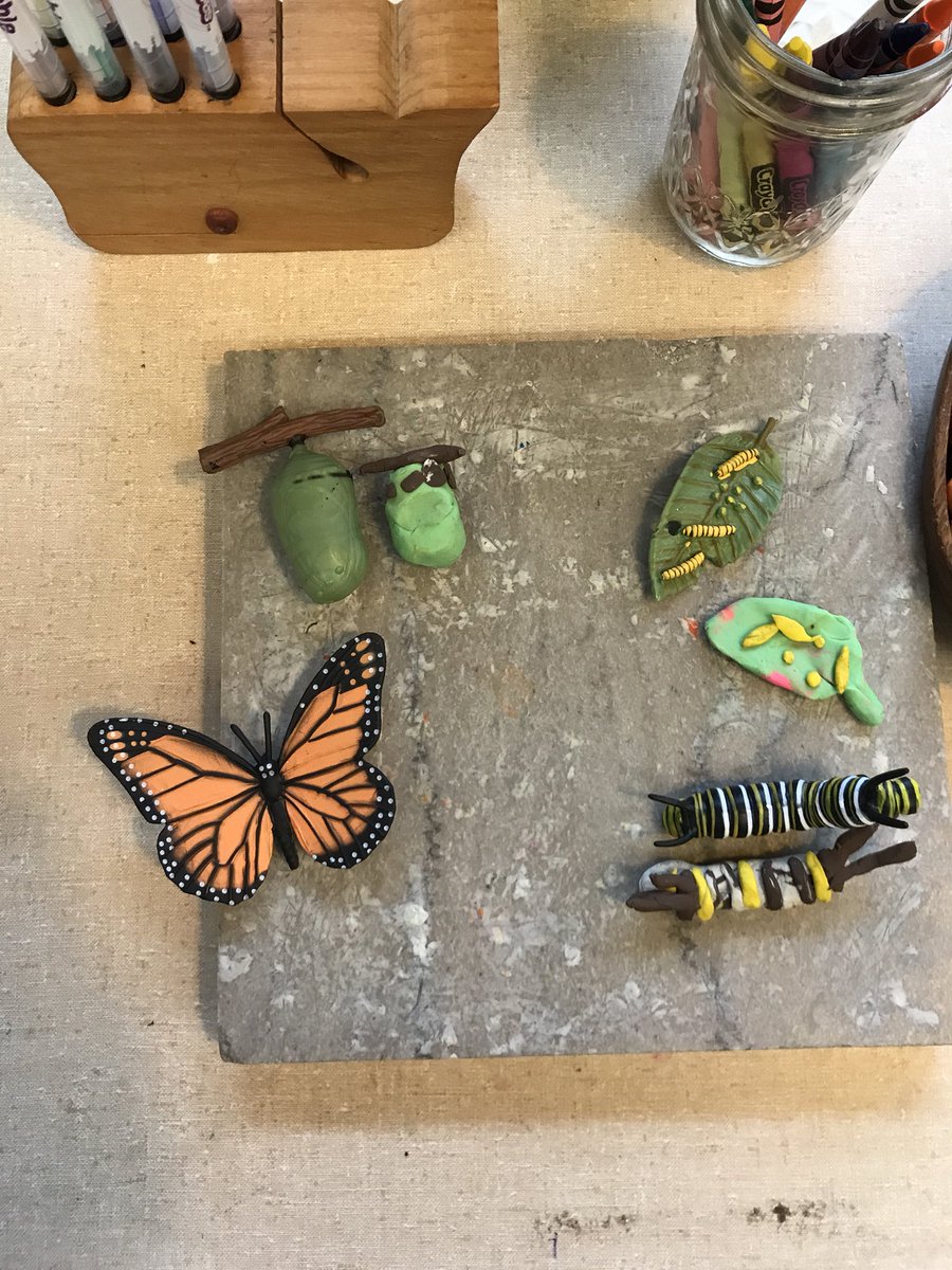 IHPlayStudio's tweet photo. Looking closely at the life cycle of a butterfly and using modeling clay to show what they notice 🔍 #butterflyinvestigation #languagesoflearning https://t.co/cTfx9MOL6P