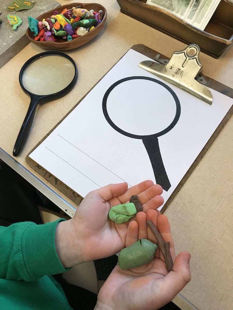 IHPlayStudio's tweet photo. Looking closely at the life cycle of a butterfly and using modeling clay to show what they notice 🔍 #butterflyinvestigation #languagesoflearning https://t.co/cTfx9MOL6P