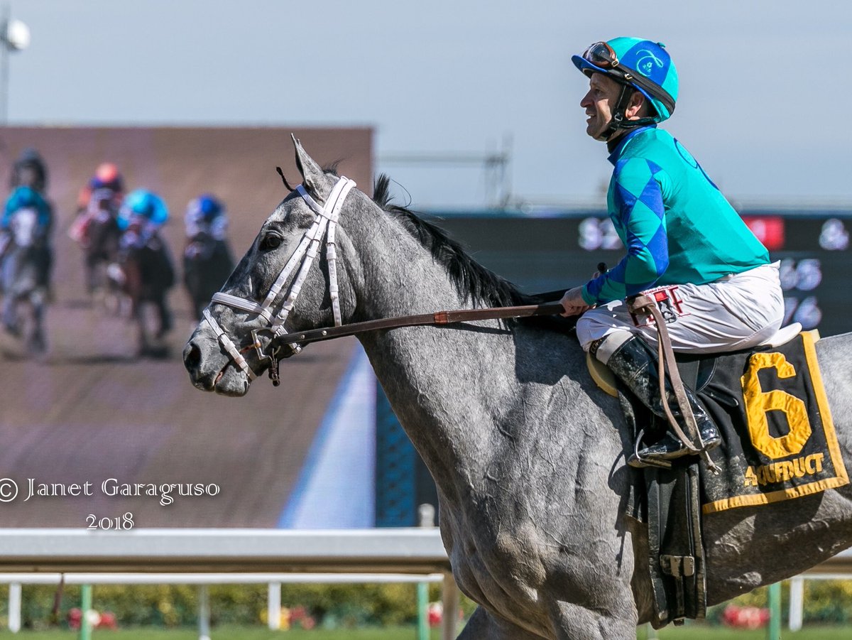 jmg27_janet's tweet photo. My Miss Lilly &amp; @bravoace winners of the GRII Gazelle Stakes 💕 @Hennigracing @TheNYRA https://t.co/xxsSxqd9FS