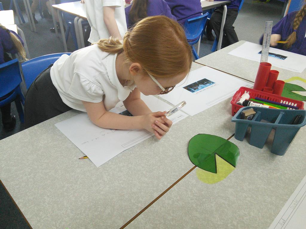 SpringwellYear4's tweet image. A mysterious scene was waiting for Year 4 today...🐸🔍 #Tuesday #davidwiesner