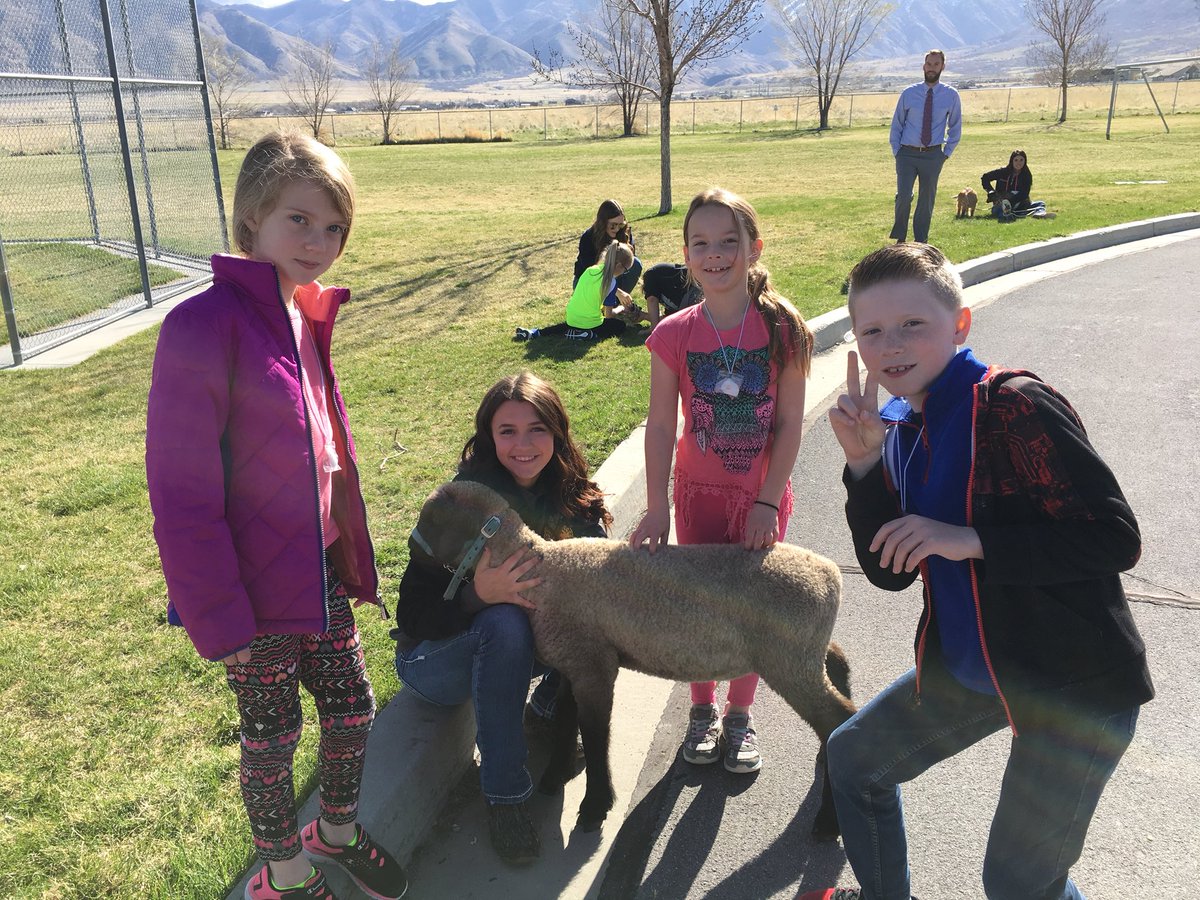 CCESCoyotes's tweet photo. Third grade students learn about the โFood for Americaโ a program presented by SHS FFA. #foodforamerica #FFA #SHS #CCESleaders https://t.co/UzsF0ppOwd