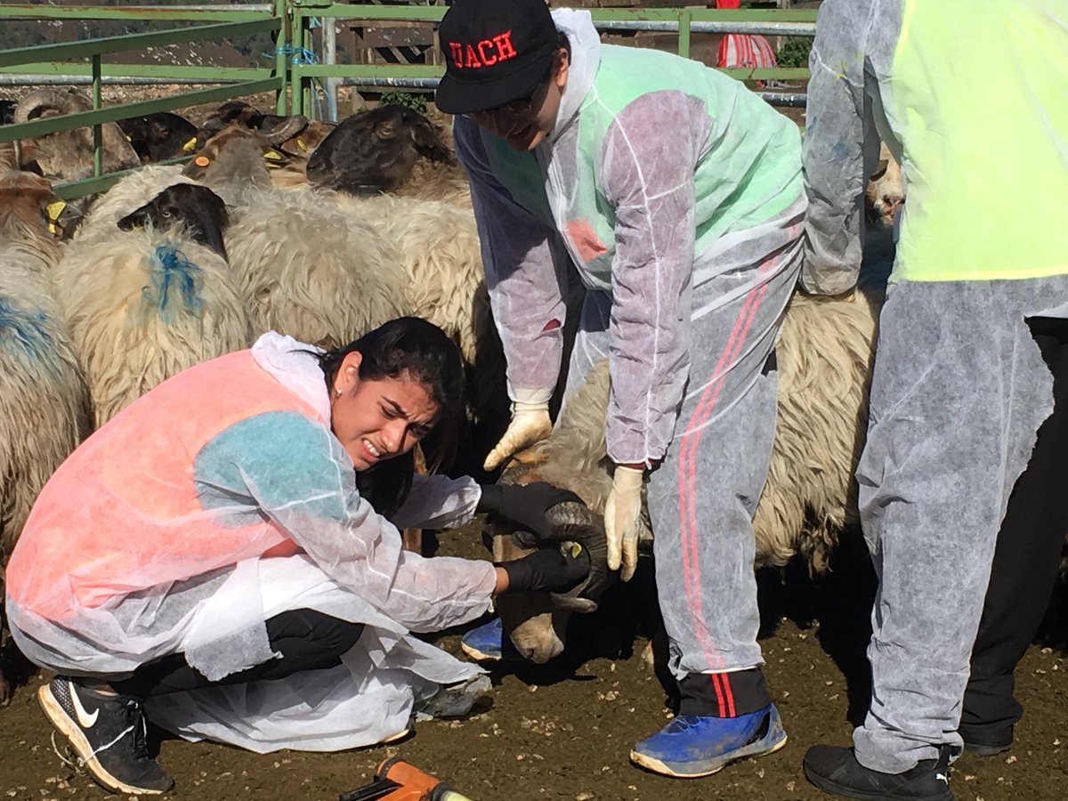 redspbotin's tweet photo. Si tienes vocación de servicio público y quieres desarrollarla, este es tu programa. Hasta el 17 mayo postula https://t.co/SDlKHjSkVf al Programa de FORTALECIMIENTO DE LA FUNCIÓN PÚBLICA EN AMÉRICA LATINA #redspbotin https://t.co/m9jtKb6ccw