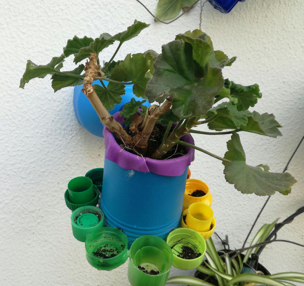 USVerde's tweet photo. Os dejamos por aquí algunas de las creaciones realizadas durante los talleres Reciclar Arte, dentro del marco del programa Recapacicla. https://t.co/IiGGXKr5jw