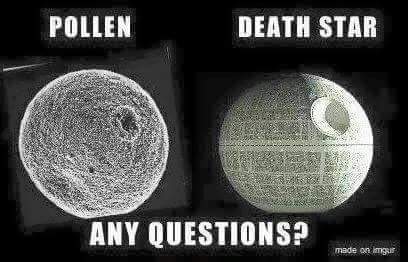 jkeene81's tweet photo. So it begins #truedamnstory #allergies #AllergySeason #allthedrugs #snotfordays #snotty https://t.co/bfOnnCuaui
