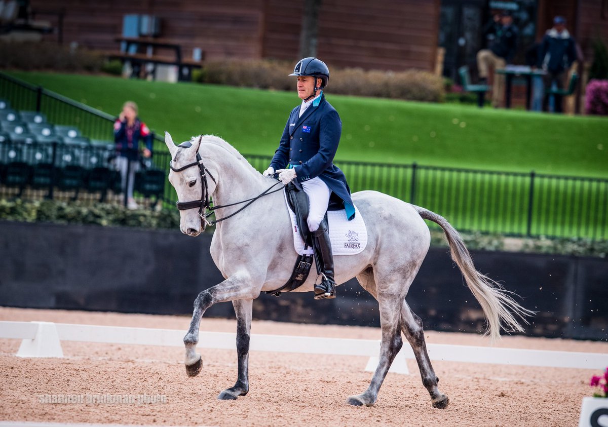 HoyEventing's tweet photo. It´s time to pack our bags and return to the UK - find a full Report on our Weekend at the #WEGTestEvent @tryon2018 @TryonResort on https://t.co/DgIJcI0yoD Pictures by @ShannonBrinkman https://t.co/1Bn0Qv0xeN