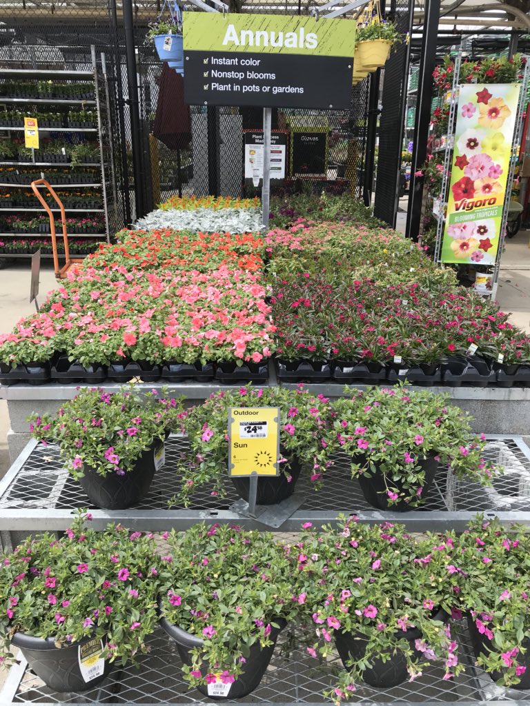 vwiAsheville's tweet photo. Thank you #HD702 for all the help with cold protection. #bringonspring ! @VWIGreenhouse @Jaydeckard @jaybisping @BryanhunterHall https://t.co/kBaICJeITR