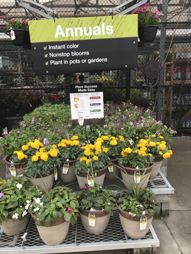 vwiAsheville's tweet photo. Thank you #HD702 for all the help with cold protection. #bringonspring ! @VWIGreenhouse @Jaydeckard @jaybisping @BryanhunterHall https://t.co/kBaICJeITR