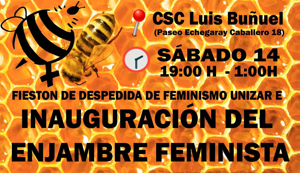 EnjambreFem's tweet photo. ¡Feminismo Unizar se TRANSFORMA en el enjambre feminista! Ven a celebrarlo con nosotras este sábado 🎉🐝💜 https://t.co/q6jMkWwX76