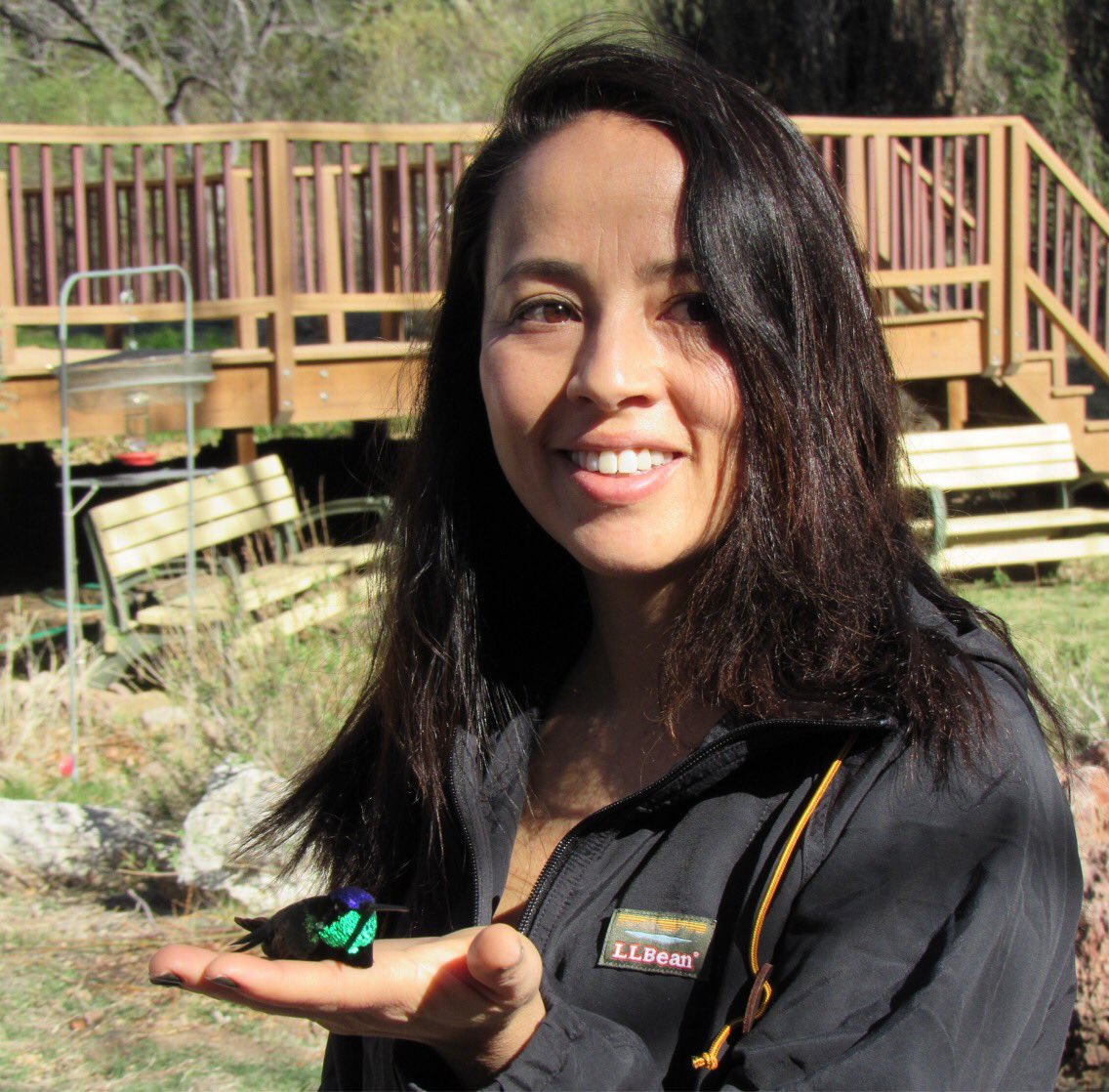 swrsamnh's tweet photo. Camila Lock, a teacher at Forest Hills High School in NYC gets ready to release a Rivoli’s #hummingbird. Lock &amp; students are here studying owls with @hawkwatchint and @Earthwatch_org; their visit coincided with a banding day undertaken by the Hummingbird Monitoring Network. https://t.co/SLwrtT1Ia6
