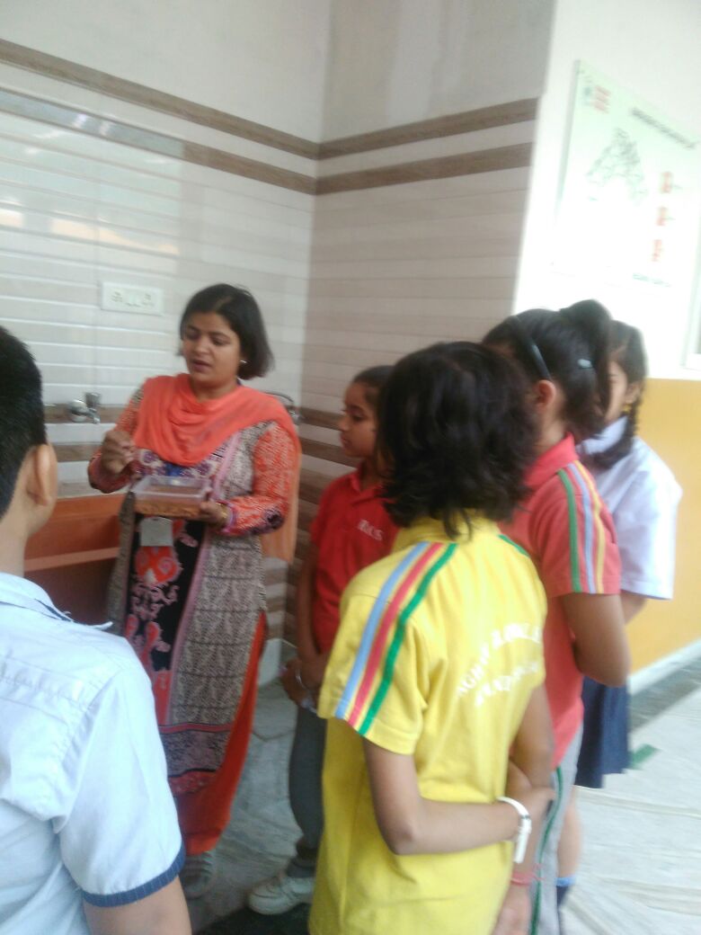 Nalini8vikram's tweet photo. #Expeditional learning, #enjoyment +learning
#Plants resources,sprouts 
#SDG5 (gender equality)and SDG 4(food for everyone)
#lifeskills development
@supritichauhan 
@rgsnoida @nehasingh_shash 
@koyelishahid 
@swetaraghav 
@SeemaSachdev3 
@parulskhanduri https://t.co/lbz2Qk4jhH