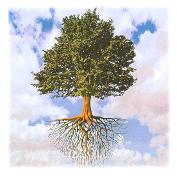 PPANthebrief's tweet photo. #MHTmaster #psicologia #Verde, città e #turismo: i vantaggi della presenza degli #alberi nelle aree urbanizzate. Leggi l'articolo sul sito 👉
https://t.co/cTwqr4PGz9 https://t.co/Tc1eUObtT9