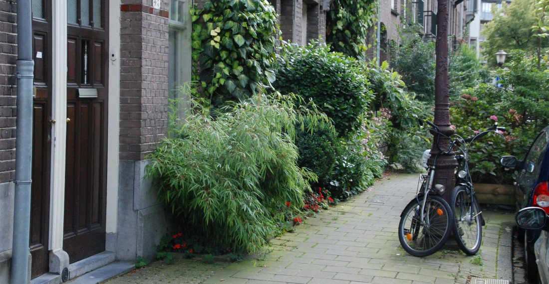 Weerproof's tweet photo. Heb jij een #geveltuin of overweeg je om er een aan te leggen? En kan je wel wat tips en tricks gebruiken? Kom dan op 12 of 14 april naar de geveltuinworkshop van @NatuurenMilieu! Aanmelden kan tot 10 april. Lees meer via: https://t.co/3HvXMUdtGF en https://t.co/mEH6HJkxJm https://t.co/FobczkAWBX