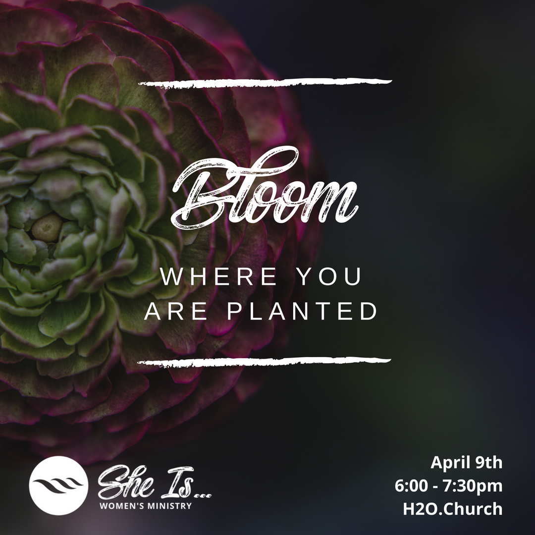 H2OChurchAda's tweet photo. Make plans to join us TONIGHT at https://t.co/2h2EdqXJtM for Cultivate: Bloom Where You're Planted.
We will have dinner, worship, and a panel discussion.
Spread the word and invite your friends! https://t.co/IcAsLoSTd0