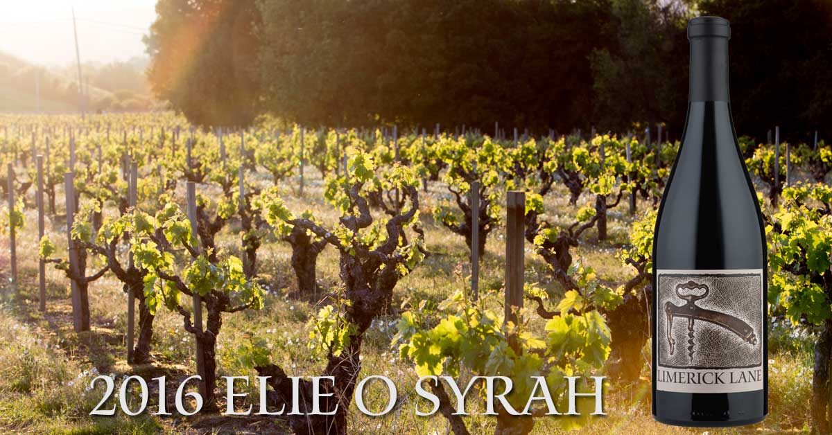 Our 2016 Elie O Syrah, a new "summertime red" from a small neighboring vineyard. Order online or enjoy on your next visit. limericklanewines.com/product/2016-E…