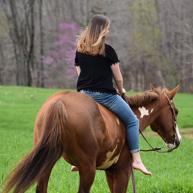 LakotaTrailers's tweet photo. "🌷Love is the strongest force the world possesses and yet it is the humblest imaginable🌷
————————————————————————
@lakotayoungprofessionals @lakotatrailers #lakotaypa #lakotatrailers #lakotaforever #paintmare #westernhorse #ranchhorse #ranch #western 📷: @rhylie.keller " https://t.co/nNm6meA67V